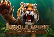 Jungle-Spirit-Call-of-The-Wild-icon-gamepage_casinobonussen