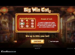 Big-Win-Cat_slotmaskinen-01-casinobonussen