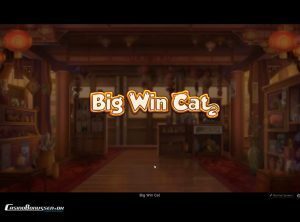 Big-Win-Cat_slotmaskinen-02-casinobonussen