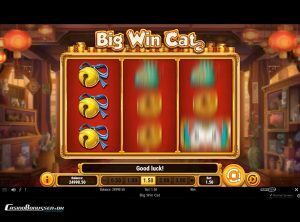 Big-Win-Cat_slotmaskinen-03-casinobonussen