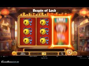 Big-Win-Cat_slotmaskinen-04-casinobonussen