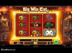 Big-Win-Cat_slotmaskinen-05-casinobonussen
