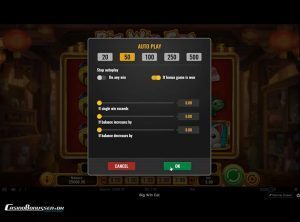 Big-Win-Cat_slotmaskinen-06-casinobonussen