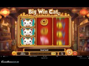 Big-Win-Cat_slotmaskinen-07-casinobonussen
