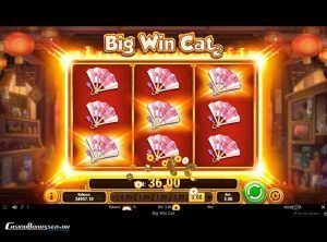 Big-Win-Cat_slotmaskinen-12-casinobonussen