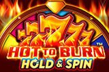 Hot to Burn Hold and Spin spillemaskine