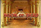 Book of Dead spillemaskine